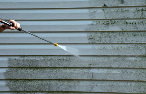 Best Gutter Cleaning  in Berly, MO